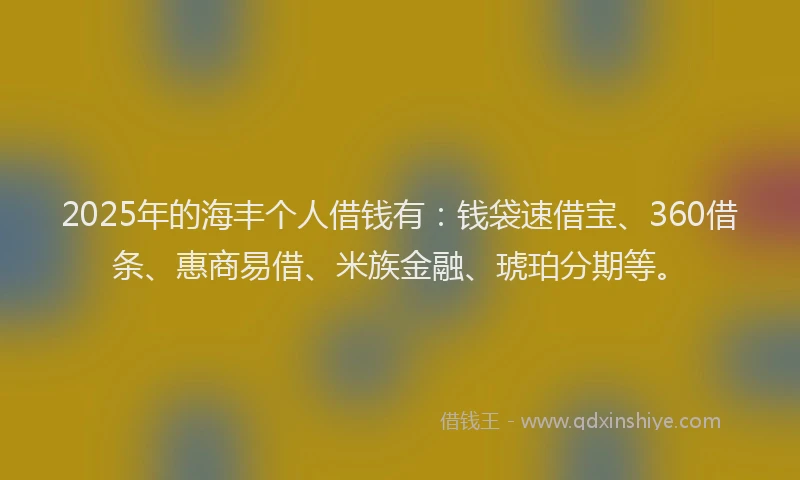 2025年的海丰个人借钱有：钱袋速借宝、360借条、惠商易借、米族金融、琥珀分期等。