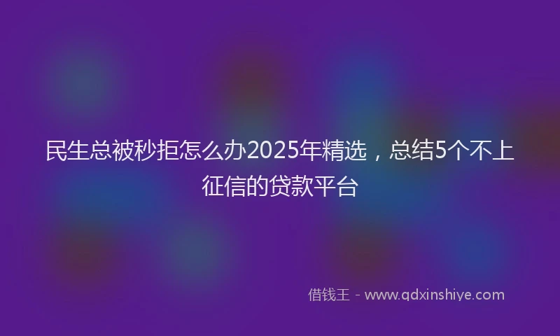 民生总被秒拒怎么办2025年精选，总结5个不上征信的贷款平台