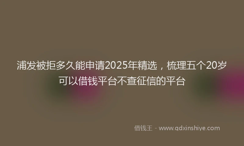 浦发被拒多久能申请2025年精选，梳理五个20岁可以借钱平台不查征信的平台