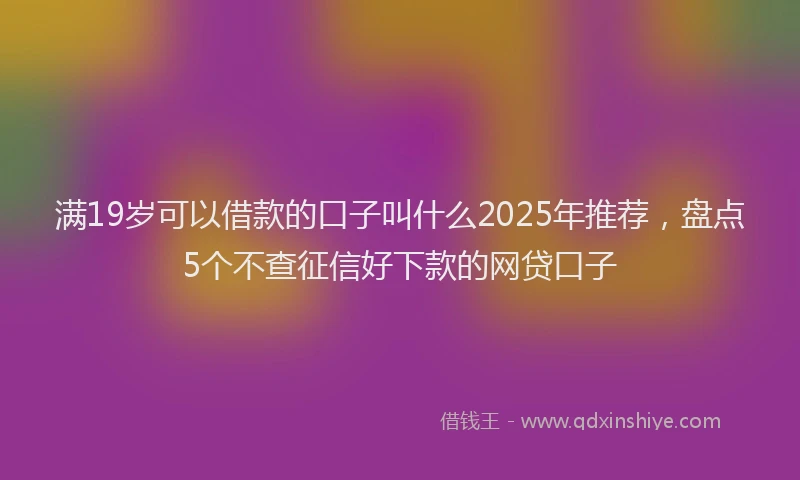 满19岁可以借款的口子叫什么2025年推荐，盘点5个不查征信好下款的网贷口子