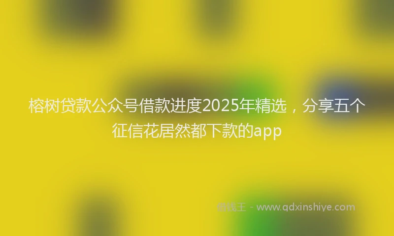 榕树贷款公众号借款进度2025年精选，分享五个征信花居然都下款的app