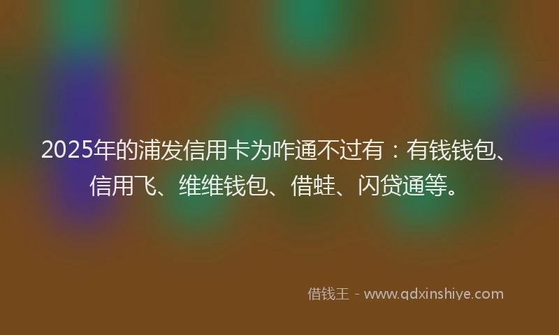 2025年的浦发信用卡为咋通不过有：有钱钱包、信用飞、维维钱包、借蛙、闪贷通等。