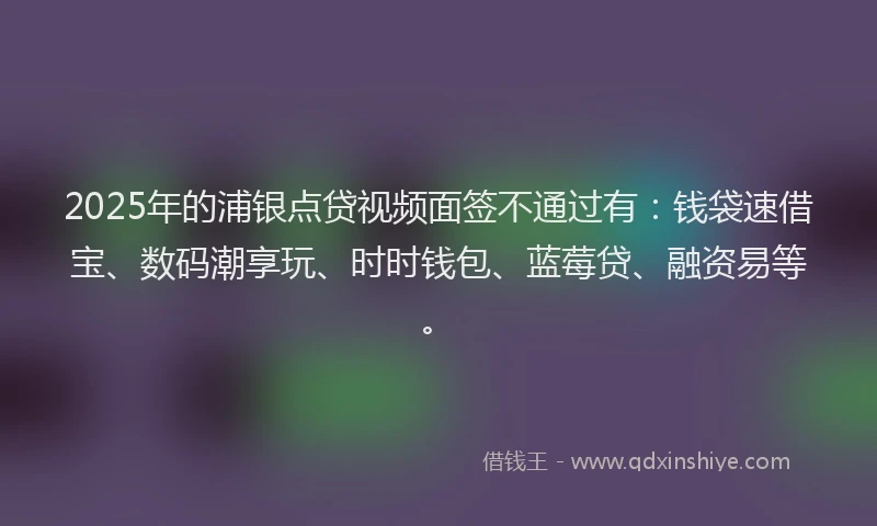 2025年的浦银点贷视频面签不通过有：钱袋速借宝、数码潮享玩、时时钱包、蓝莓贷、融资易等。