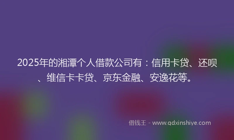 2025年的湘潭个人借款公司有：信用卡贷、还呗、维信卡卡贷、京东金融、安逸花等。