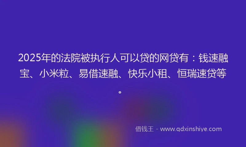 2025年的法院被执行人可以贷的网贷有：钱速融宝、小米粒、易借速融、快乐小租、恒瑞速贷等。