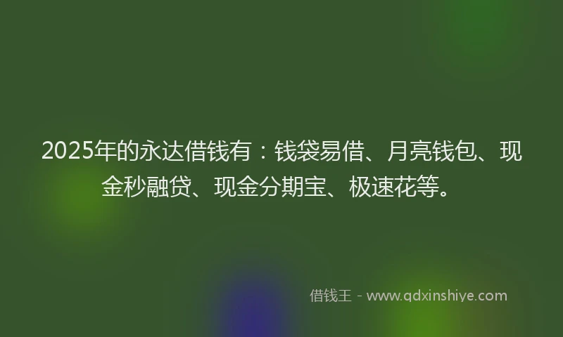 2025年的永达借钱有：钱袋易借、月亮钱包、现金秒融贷、现金分期宝、极速花等。