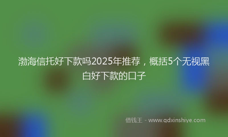 渤海信托好下款吗2025年推荐，概括5个无视黑白好下款的口子