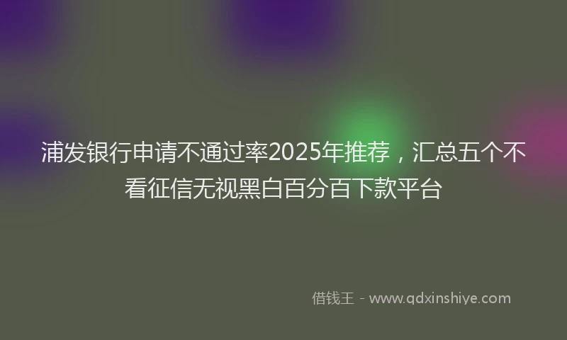 浦发银行申请不通过率2025年推荐，汇总五个不看征信无视黑白百分百下款平台