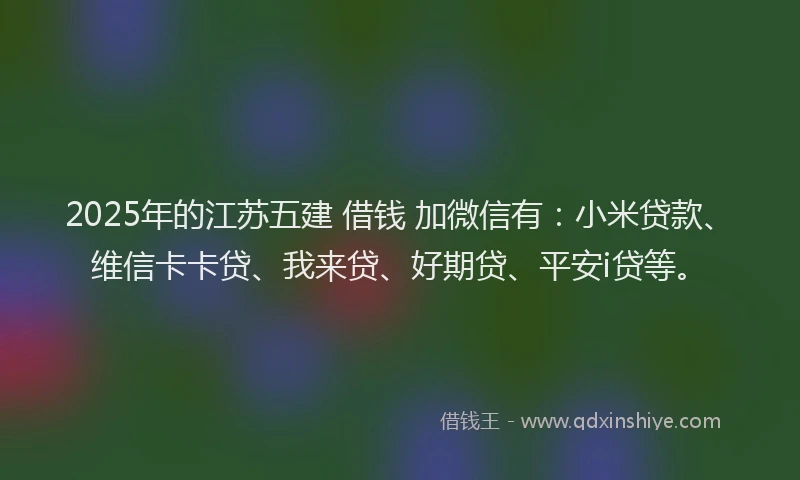 2025年的江苏五建 借钱 加微信有：小米贷款、维信卡卡贷、我来贷、好期贷、平安i贷等。