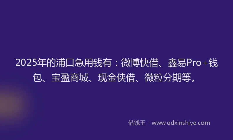 2025年的浦口急用钱有：微博快借、鑫易Pro+钱包、宝盈商城、现金侠借、微粒分期等。