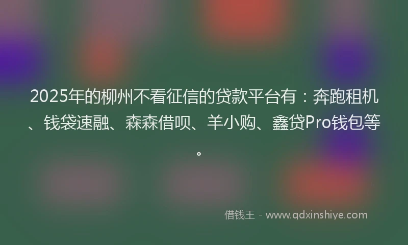 2025年的柳州不看征信的贷款平台有：奔跑租机、钱袋速融、森森借呗、羊小购、鑫贷Pro钱包等。