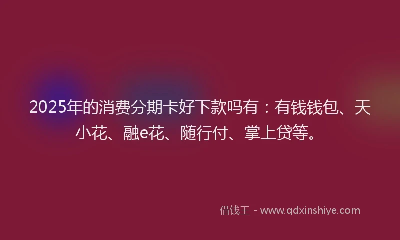 2025年的消费分期卡好下款吗有:有钱钱包、天小花、融e花、随行付、掌上贷等。