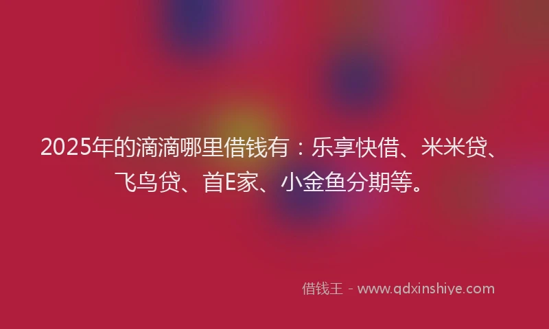 2025年的滴滴哪里借钱有：乐享快借、米米贷、飞鸟贷、首E家、小金鱼分期等。