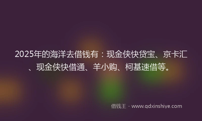 2025年的海洋去借钱有：现金侠快贷宝、京卡汇、现金侠快借通、羊小购、柯基速借等。