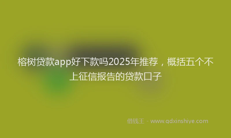 榕树贷款app好下款吗2025年推荐，概括五个不上征信报告的贷款口子