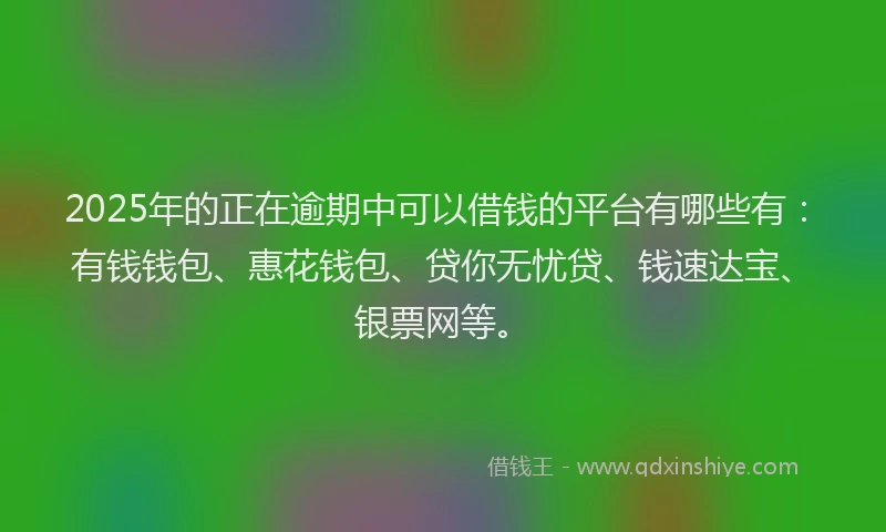 2025年的正在逾期中可以借钱的平台有哪些有：有钱钱包、惠花钱包、贷你无忧贷、钱速达宝、银票网等。