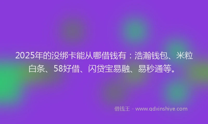 2025年的没绑卡能从哪借钱有：浩瀚钱包、米粒白条、58好借、闪贷宝易融、易秒通等。