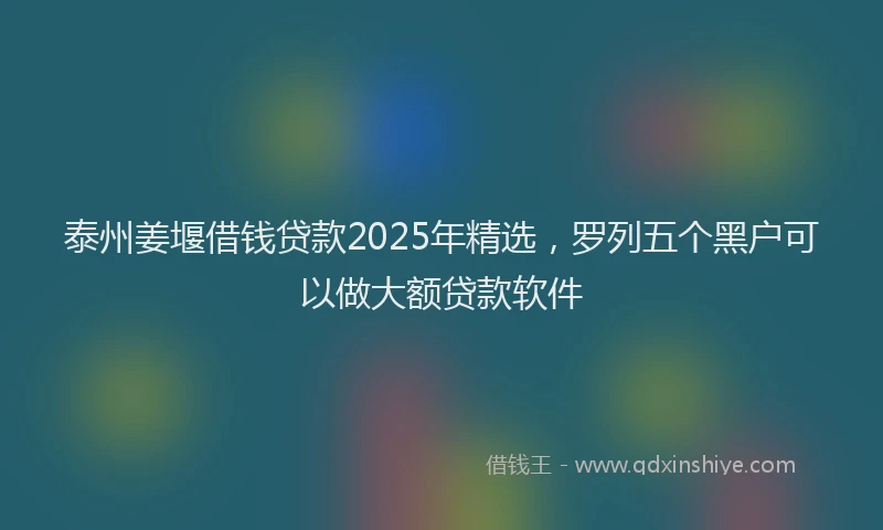 泰州姜堰借钱贷款2025年精选，罗列五个黑户可以做大额贷款软件