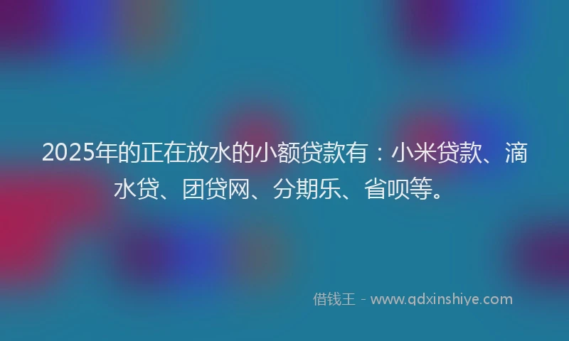 2025年的正在放水的小额贷款有：小米贷款、滴水贷、团贷网、分期乐、省呗等。