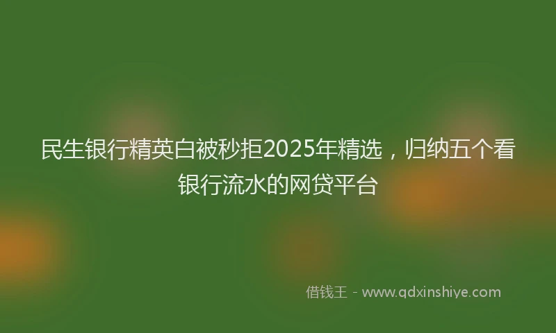 民生银行精英白被秒拒2025年精选，归纳五个看银行流水的网贷平台