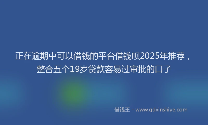 正在逾期中可以借钱的平台借钱呗2025年推荐，整合五个19岁贷款容易过审批的口子