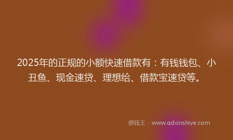 2025年的正规的小额快速借款有：有钱钱包、小丑鱼、现金速贷、理想给、借款宝速贷等。