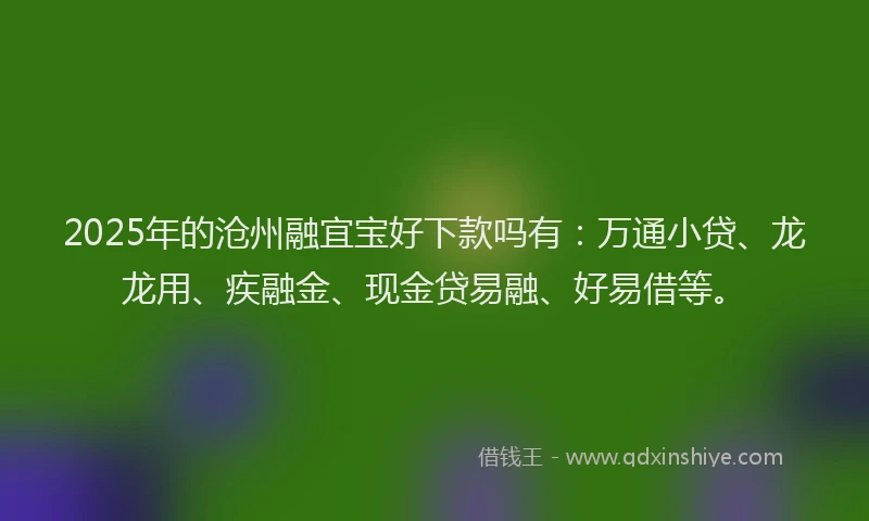 2025年的沧州融宜宝好下款吗有：万通小贷、龙龙用、疾融金、现金贷易融、好易借等。