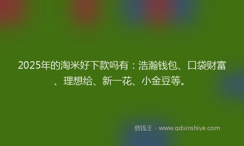 2025年的淘米好下款吗有：浩瀚钱包、口袋财富、理想给、新一花、小金豆等。