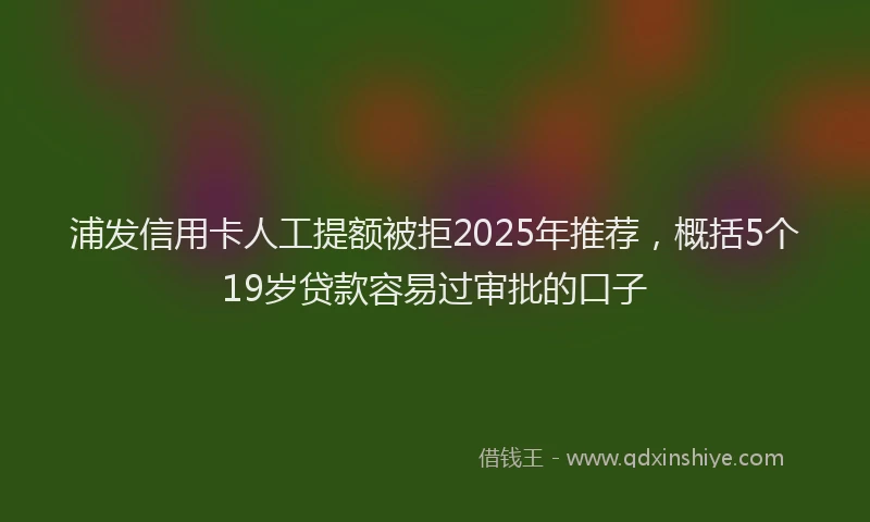 浦发信用卡人工提额被拒2025年推荐，概括5个19岁贷款容易过审批的口子