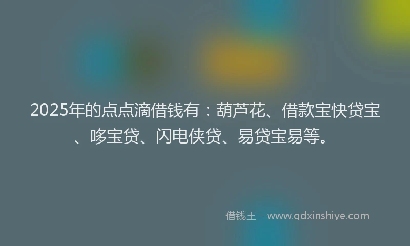 2025年的点点滴借钱有：葫芦花、借款宝快贷宝、哆宝贷、闪电侠贷、易贷宝易等。