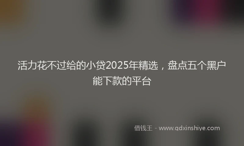 活力花不过给的小贷2025年精选，盘点五个黑户能下款的平台