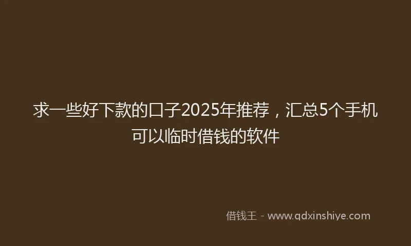 求一些好下款的口子2025年推荐，汇总5个手机可以临时借钱的软件