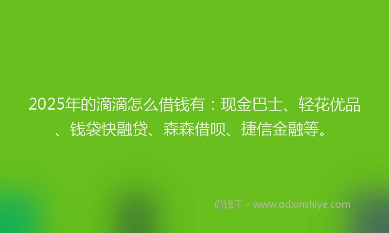 2025年的滴滴怎么借钱有：现金巴士、轻花优品、钱袋快融贷、森森借呗、捷信金融等。
