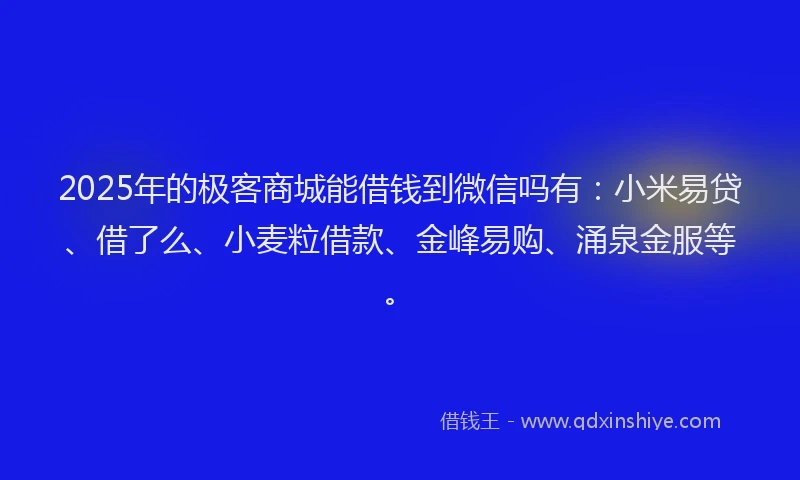 2025年的极客商城能借钱到微信吗有：小米易贷、借了么、小麦粒借款、金峰易购、涌泉金服等。