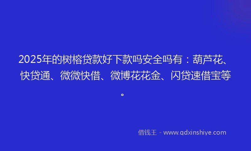 2025年的树榕贷款好下款吗安全吗有：葫芦花、快贷通、微微快借、微博花花金、闪贷速借宝等。