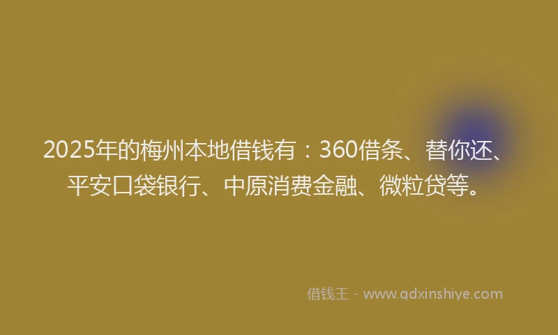 2025年的梅州本地借钱有：360借条、替你还、平安口袋银行、中原消费金融、微粒贷等。