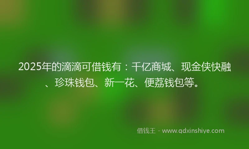2025年的滴滴可借钱有：千亿商城、现金侠快融、珍珠钱包、新一花、便荔钱包等。