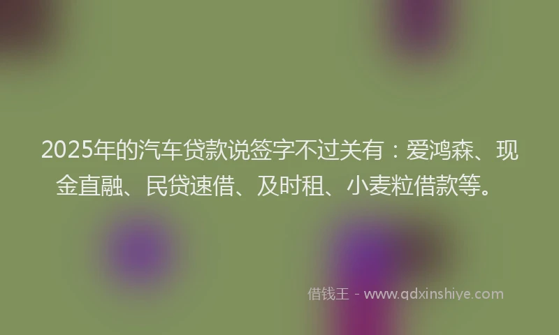 2025年的汽车贷款说签字不过关有：爱鸿森、现金直融、民贷速借、及时租、小麦粒借款等。