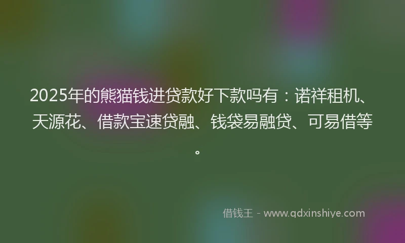 2025年的熊猫钱进贷款好下款吗有：诺祥租机、天源花、借款宝速贷融、钱袋易融贷、可易借等。