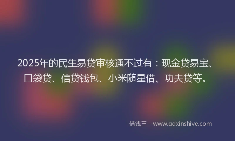 2025年的民生易贷审核通不过有：现金贷易宝、口袋贷、信贷钱包、小米随星借、功夫贷等。