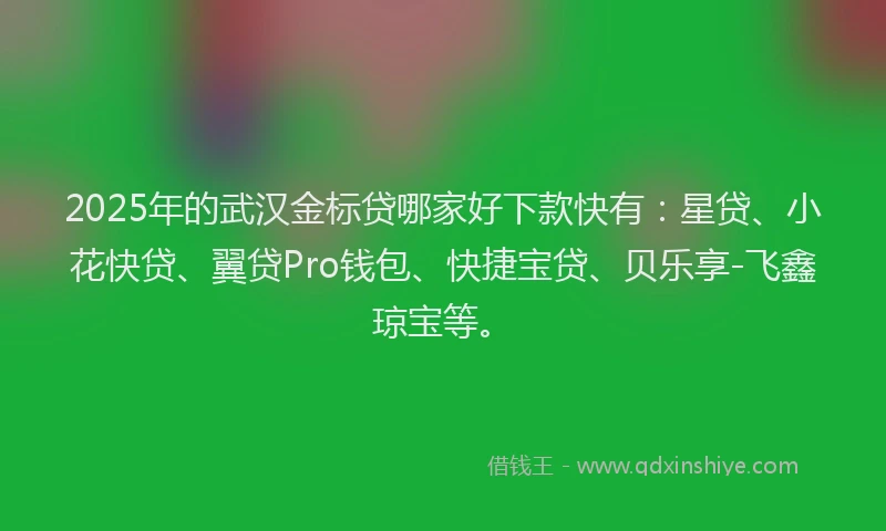 2025年的武汉金标贷哪家好下款快有：星贷、小花快贷、翼贷Pro钱包、快捷宝贷、贝乐享-飞鑫琼宝等。