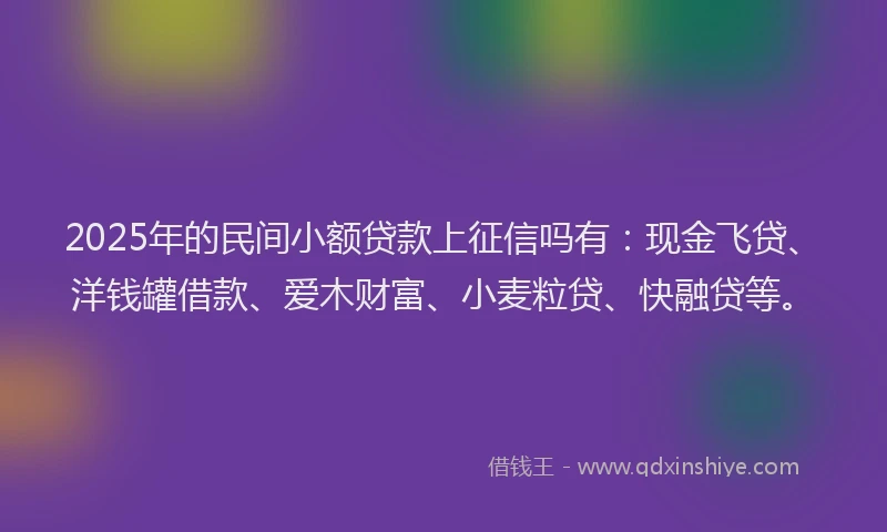 2025年的民间小额贷款上征信吗有：现金飞贷、洋钱罐借款、爱木财富、小麦粒贷、快融贷等。