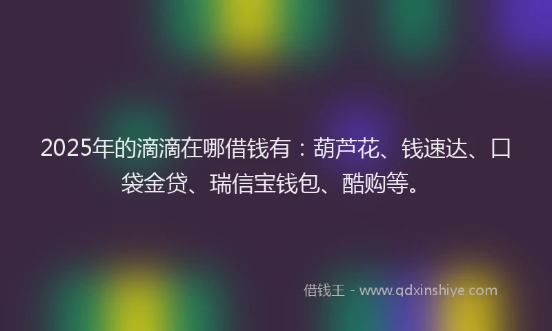 2025年的滴滴在哪借钱有：葫芦花、钱速达、口袋金贷、瑞信宝钱包、酷购等。
