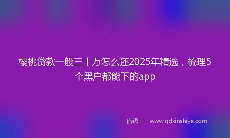 樱桃贷款一般三十万怎么还2025年精选，梳理5个黑户都能下的app