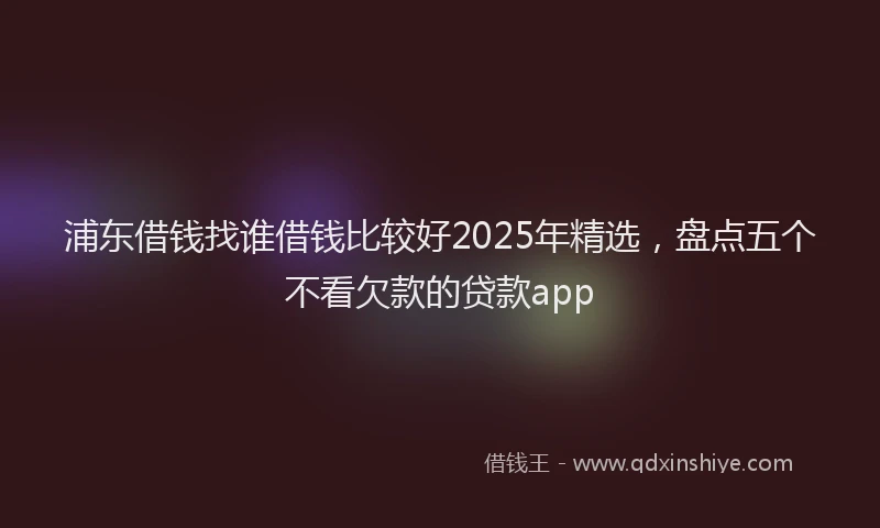 浦东借钱找谁借钱比较好2025年精选，盘点五个不看欠款的贷款app