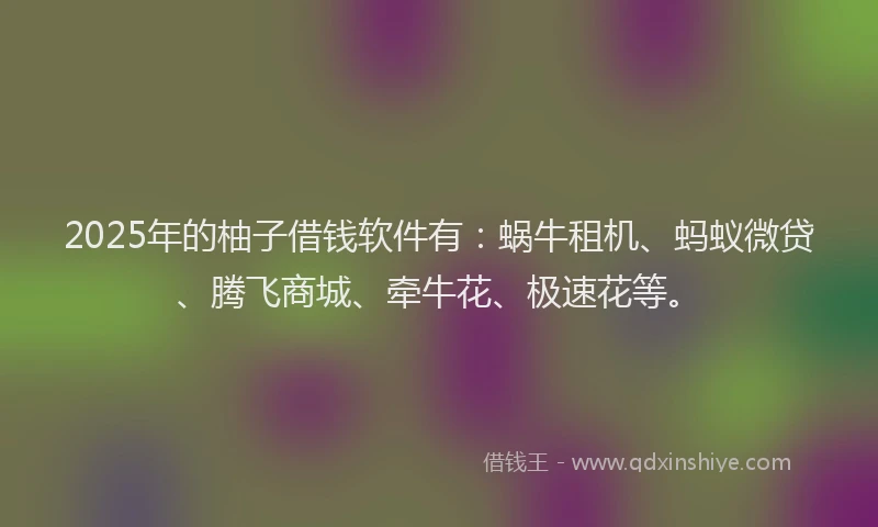 2025年的柚子借钱软件有：蜗牛租机、蚂蚁微贷、腾飞商城、牵牛花、极速花等。