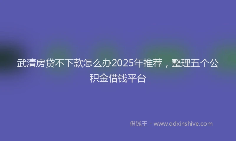 武清房贷不下款怎么办2025年推荐，整理五个公积金借钱平台