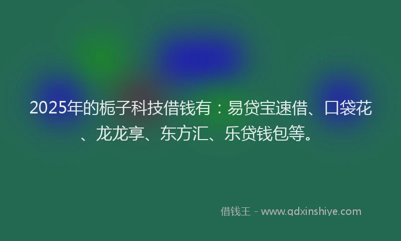 2025年的栀子科技借钱有：易贷宝速借、口袋花、龙龙享、东方汇、乐贷钱包等。