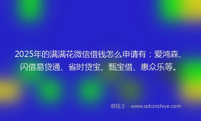 2025年的满满花微信借钱怎么申请有：爱鸿森、闪借易贷通、省时贷宝、甄宝借、惠众乐等。