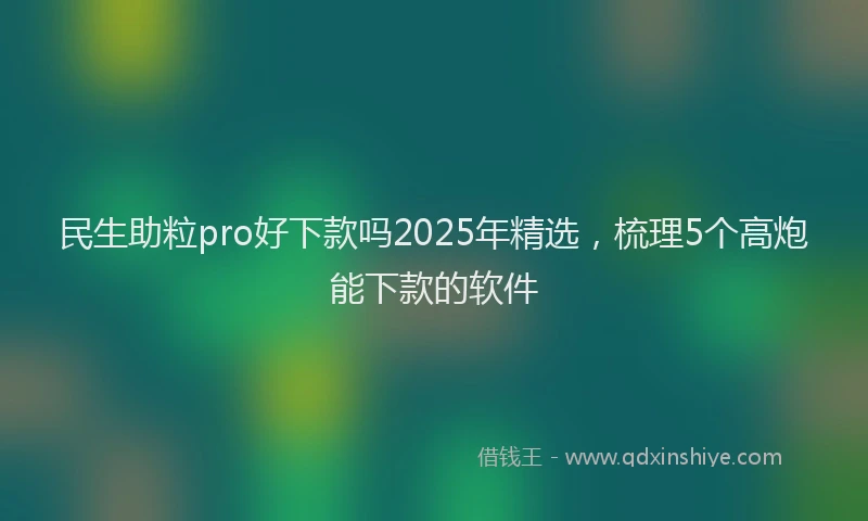 民生助粒pro好下款吗2025年精选，梳理5个高炮能下款的软件